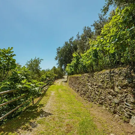 La Sperduta By Interhome モンティニョーゾ