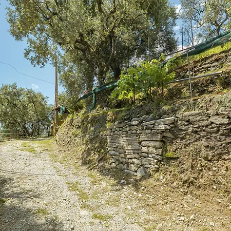 La Sperduta By Interhome 別荘 *